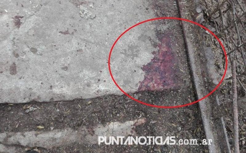 Villa Arias: Mataron y robaron animal valuado en 3 mil pesos