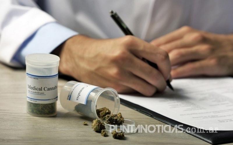 Quedó promulgada la ordenanza de acceso al cannabis medicinal impulsada por Bien Común
