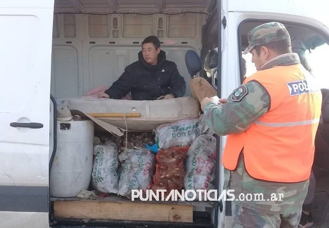 Secuestraron 1500 kilos de ostras, que eran transportadas de Arroyo Pareja a Capital Federal 