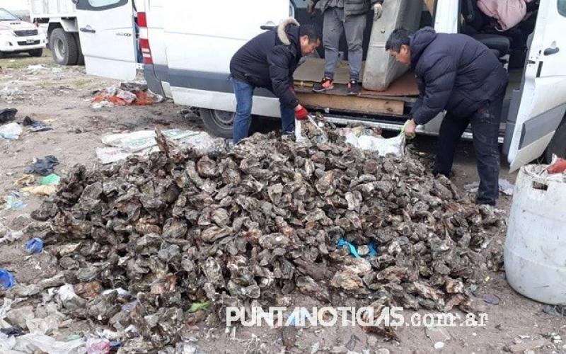 Secuestraron 1500 kgs de ostras, que eran transportadas de Arroyo Pareja a Capital Federal