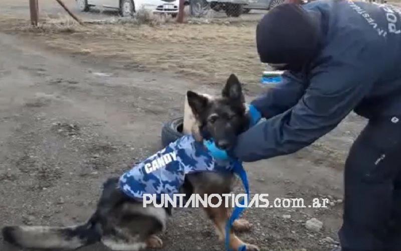 La primera perra antidrogas de la Policía de El Calafate fue adiestrada en la BNPB 