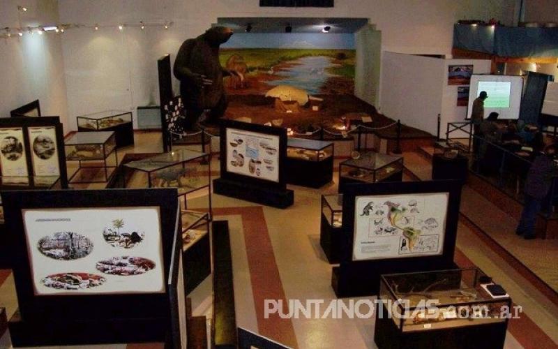 El Museo Darwin brinda charlas virtuales a instituciones educativas 