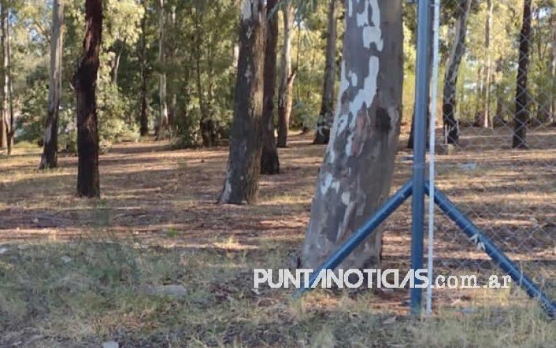Se robaron más de 40 metros de alambrado perimetral del Punta Alta RC