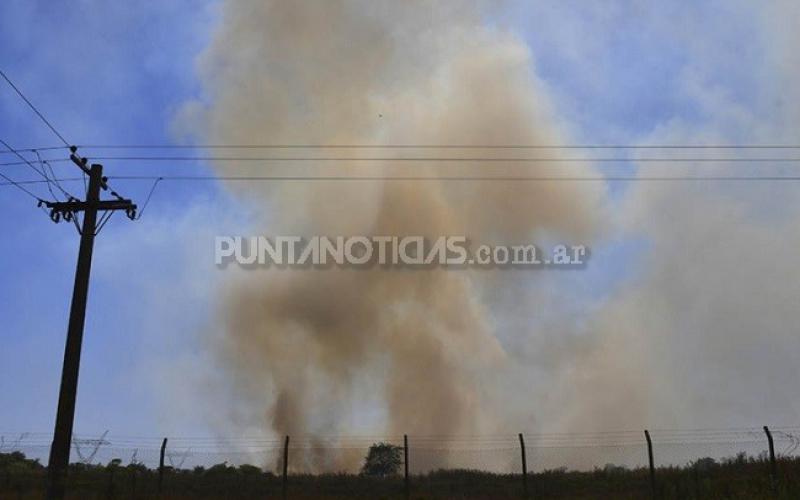 Cuatro provincias registran focos de incendios forestales