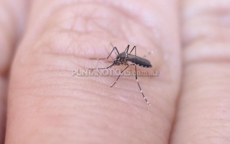 Desde agosto se registraron casi 5 mil casos de dengue en todo el país