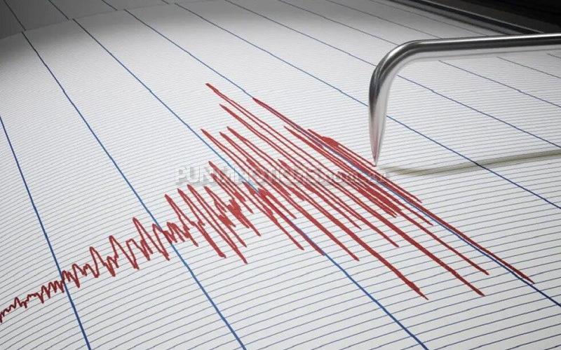 Mendoza: un fuerte sismo hizo temblar a gran parte de la provincia
