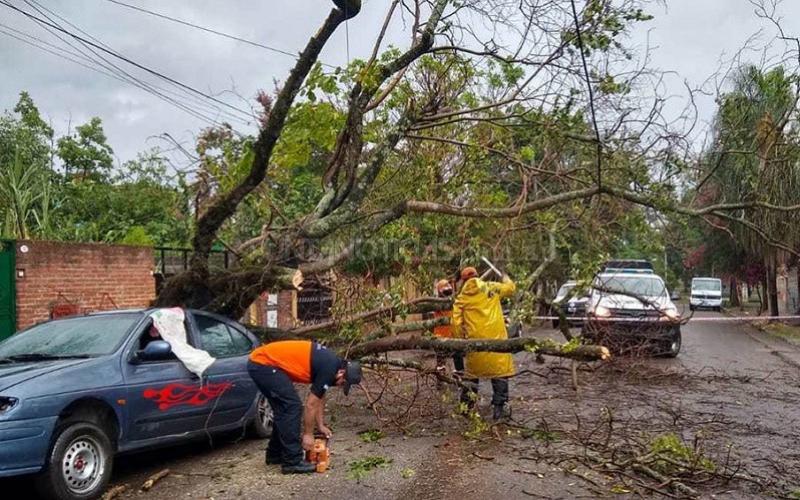 Jujuy: hubo voladura de techos, caída de árboles y cortes de energía